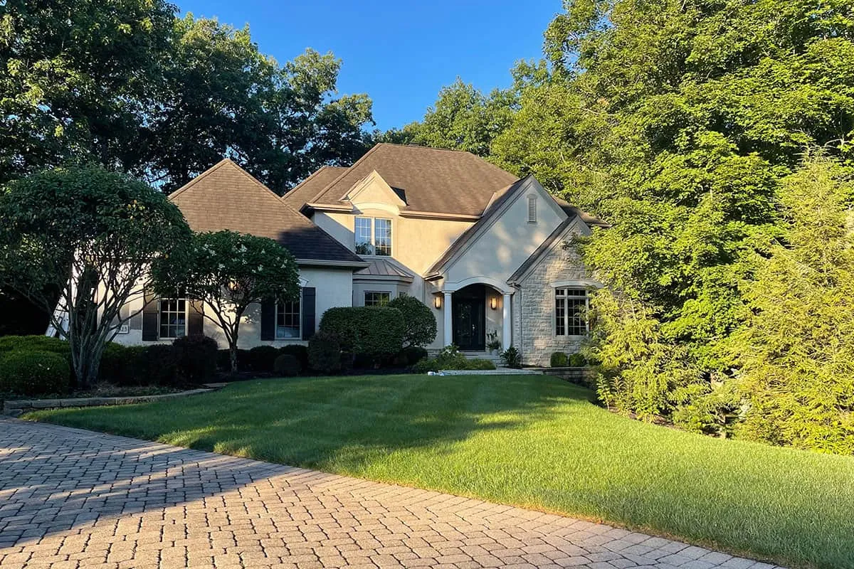 8523-Misty-Woods-43065-before