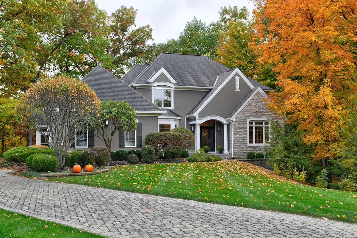 8523-Misty-Woods-43065-after